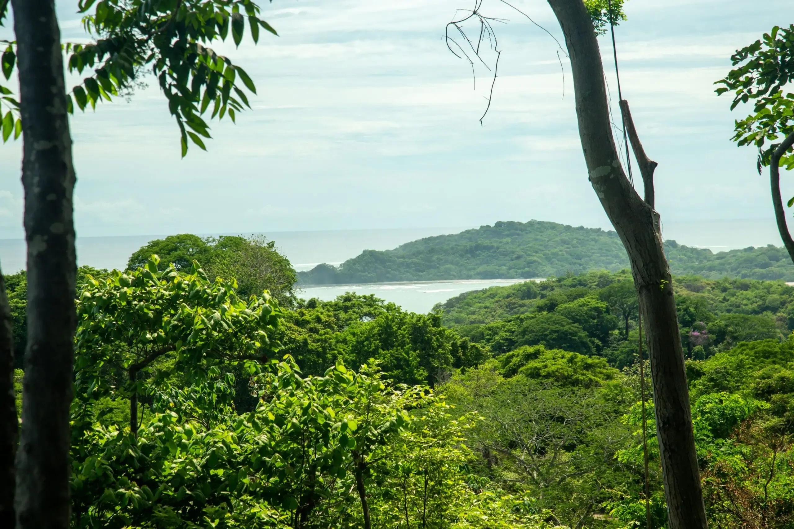 Late-afternoon light over the remote coastline at Pavones, Costa Rica
