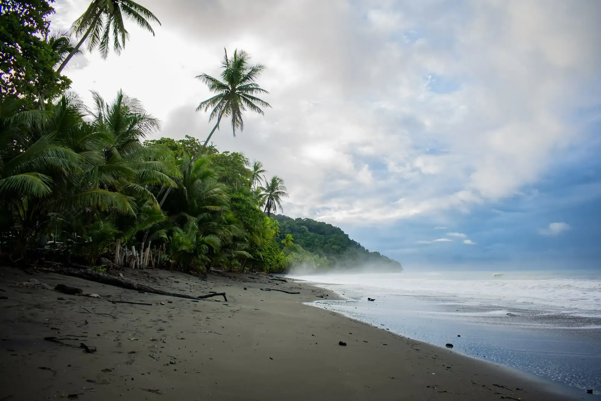 Pavones beach in afternoon light, jungle running down to the shore, remote southern Pacific Costa Rica