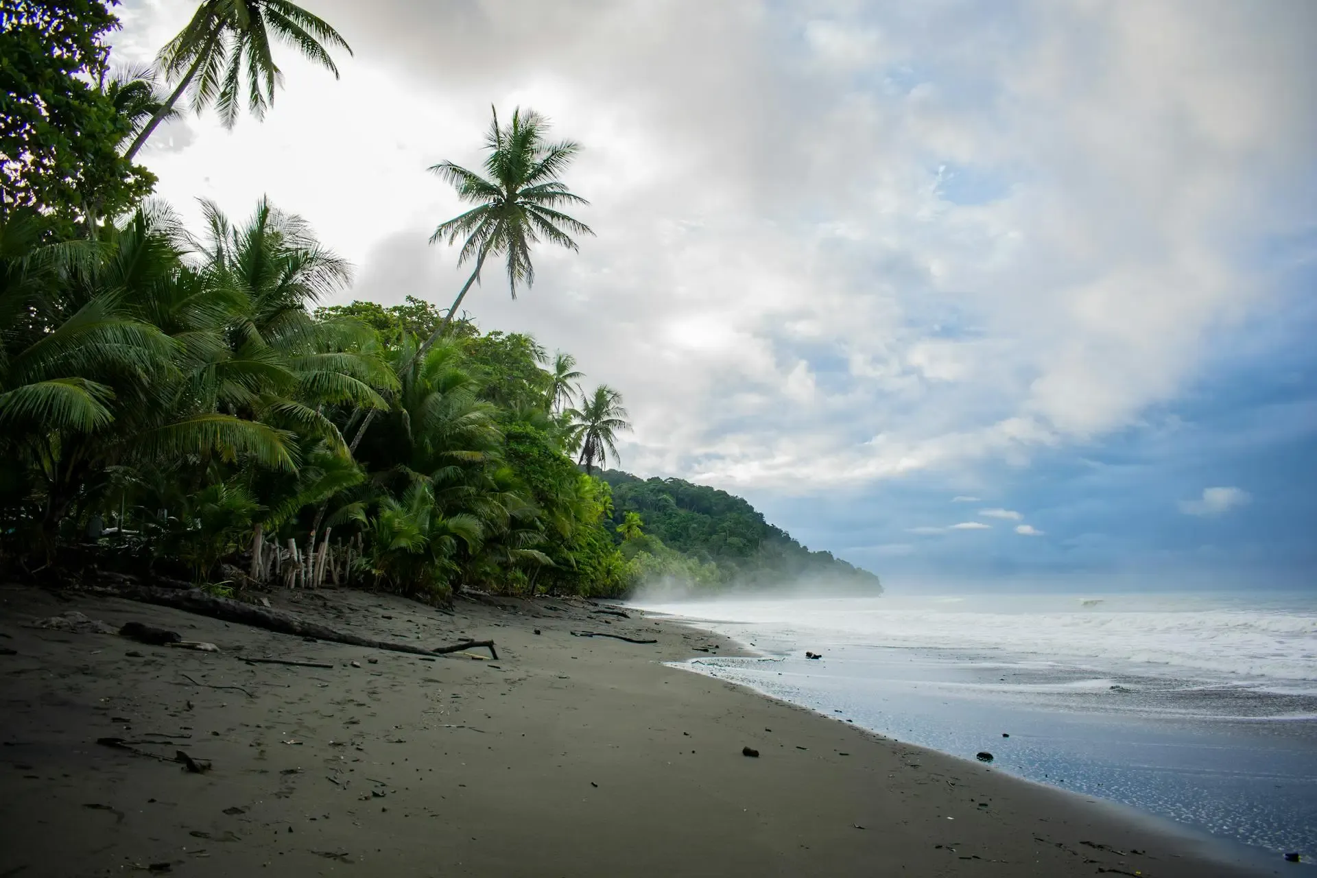 Pavones beach in afternoon light, jungle running down to the shore, remote southern Pacific Costa Rica