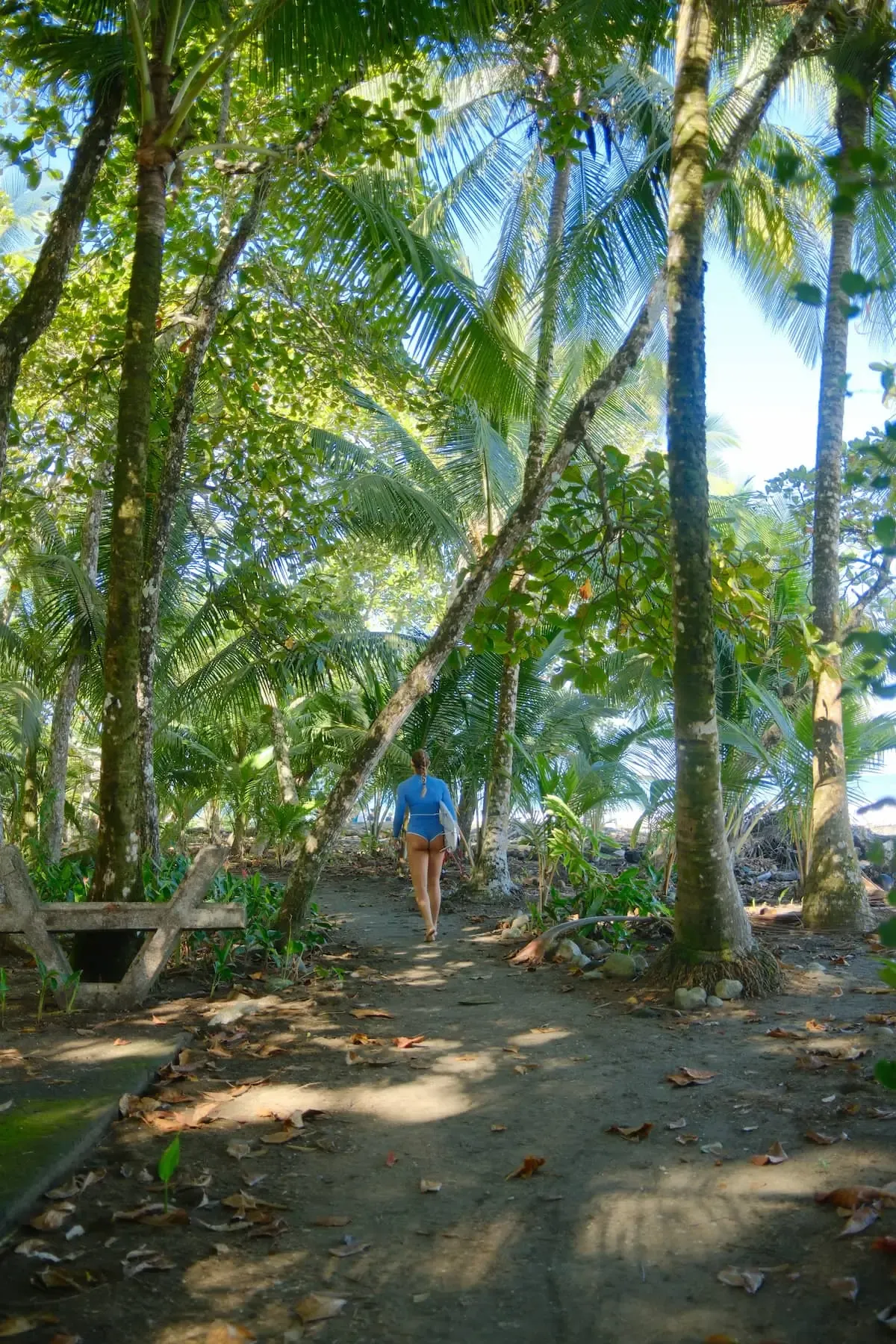 Short path from Pavones Surf Camp to the break, steps from the water