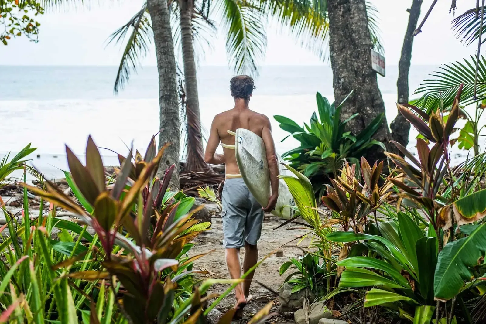 Surfer walking down a jungle path toward the surf at Pavones, Costa Rica