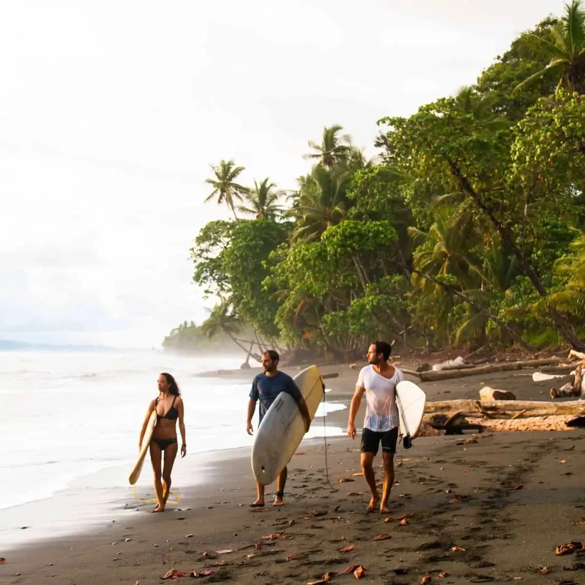 A small group of surfers with boards heading out for a session in Pavones